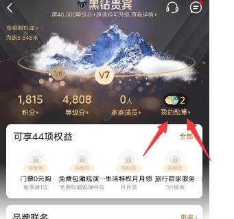 关于携程黑钻 最强出货攻略整理 几千大羊腿 更新2024年12月29号-羊毛